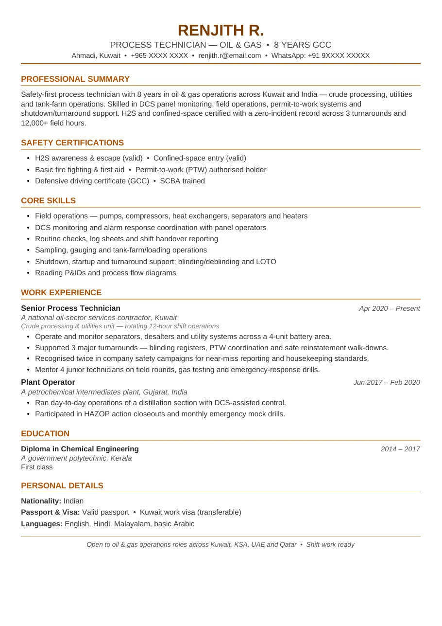Energy Field Pro resume template preview